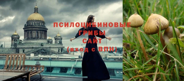 синтетический гашиш Ладушкин