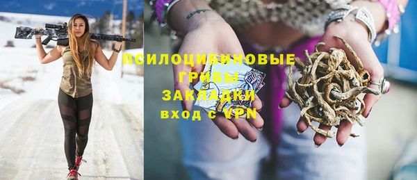 дживик Лабытнанги