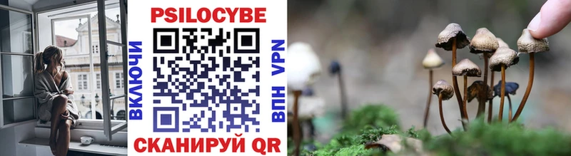 Купить  Николаевск-на-Амуре  Галлюциногенные грибы прущие грибы 